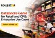 Databricks partner