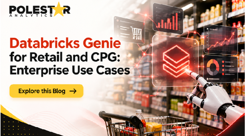 Databricks partner